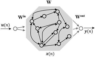 Real-time ocean wave prediction in time domain with autoregression and echo state networks